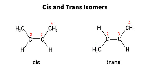 Cis and trans isomers. Cis-but-2-ene and trans-but-2-ene. Vector illustration isolated on white background.