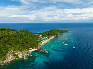 Fototapeta premium Aerial drone of island with sandy beach and coral reef. Apo Island. Negros, Philippines.