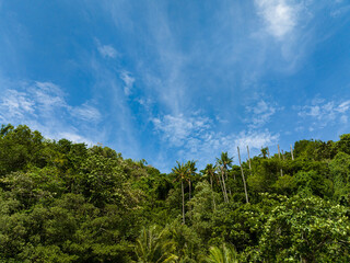 Obraz premium Rocky volcanic island with jungle and rainforest. Apo Island. Negros, Philippines.