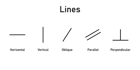 Types of lines in mathematics. Horizontal, vertical, oblique, parallel and perpendicular lines. - obrazy, fototapety, plakaty