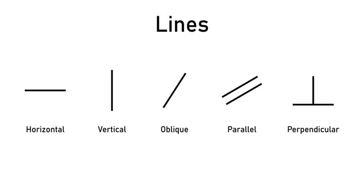 Types of lines in mathematics. Horizontal, vertical, oblique, parallel and perpendicular lines.