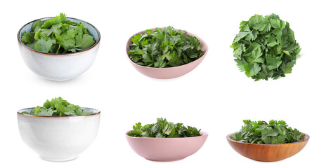 Collage of bowls with fresh green parsley on white background, top and side views