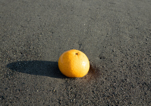 漂着したみかん