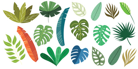 TROPICAL LEAVES VECTOR DESIGN COLLECTION