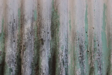 bark texture, painted old metal sheet with rust and moss, sea level aged wood and metal, green painted discolored