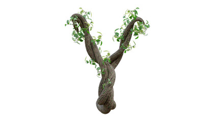 Tree grow or vine in the shape of the English text. Letter font Y. 3D Render. © oatintro