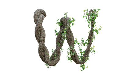 Tree grow or vine in the shape of the English text. Letter font W. 3D Render.