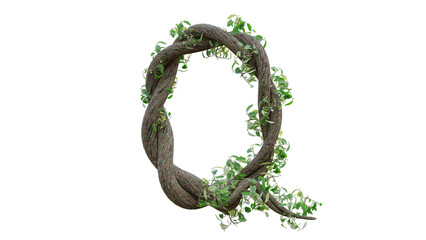 Tree grow or vine in the shape of the English text. Letter font Q. 3D Render.