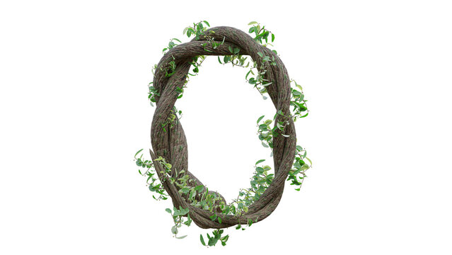 Tree grow or vine in the shape of the English text. Letter font O. 3D Render.