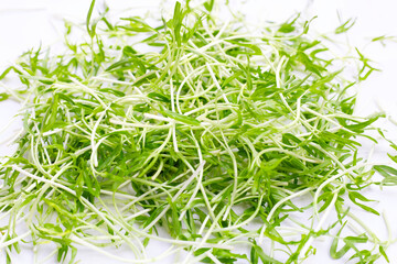 Water spinach sprouts. Organic vegetables