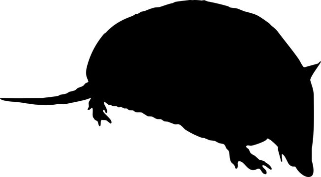 recommend clip art: armadillo silhouette side view
