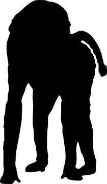recommend clip art: baboon silhouette standing