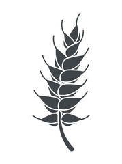 barley spike silhouette style