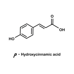 Formula of chemical structure of P-Hydroxycinnamic acid .Vector EPS 10. - obrazy, fototapety, plakaty