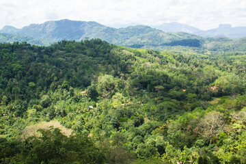 Beautiful view of the famous Sigiriya Mountain (Lion Mountain) among the rainforest, Sri Lanka