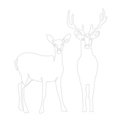 Deer Buck and Doe - Minimalist Single Line Drawing