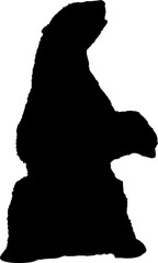 silhouette of a bear standing