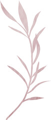 Watercolor wedding floral leaf branch