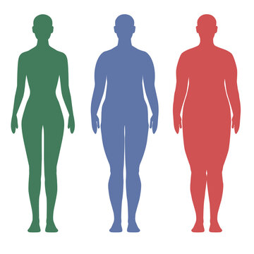 Compared to slim and fat woman's bodies, overweight and slender three-step thin to fat, illustration on white background