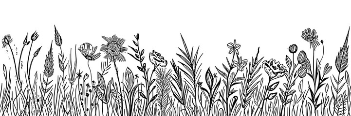 Hand drawn wild grass and flowers, black and white vector illustration