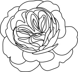 minimal botanical graphic sketch line art drawing, trendy tiny tattoo design, floral elements vector illustration