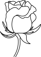 minimal botanical graphic sketch line art drawing, trendy tiny tattoo design, floral elements vector illustration