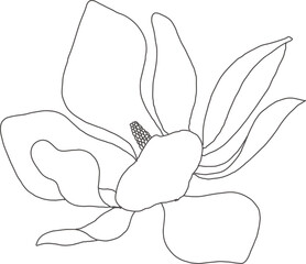 minimal botanical graphic sketch line art drawing, trendy tiny tattoo design, floral elements vector illustration