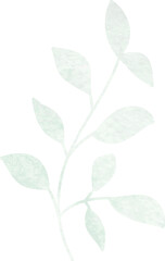 watercolor leaf and flower. Botanical illustration minimal style.
