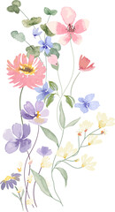 watercolor leaf and flower. Botanical illustration minimal style.
- 572519577