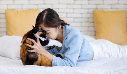 Millennial Asian young kindly cheerful female owner laying lying down on pillows cozy sofa bed...