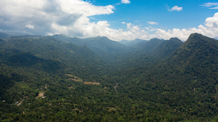 Farm and agricultural land with crops in the mountainous area. Sri Lanka.