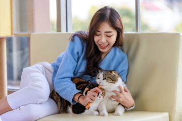 Millennial Asian young kindly cheerful female owner sitting on cozy sofa couch smiling holding hugging cuddling two short hair cute little domestic kitten furry purebreed pussycat pet friend at home