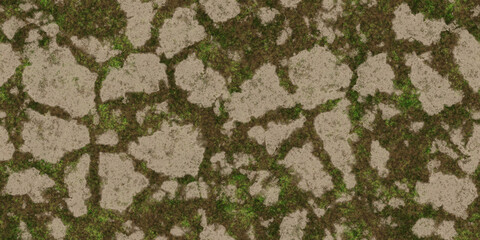 Ecology terrain stones seamless backdrop. Summer desert with mossy cracks surface. Hot grunge weather climate pattern. Cracked ground with moss texture. Dry land with grass background. - 572522728
