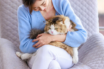 Millennial Asian young female owner sitting on cozy armchair smiling holding hugging cuddling looking showing love to cute fat tabby long hair little domestic cat furry purebred pussycat in arms