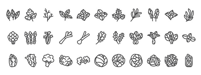 Set of Vegetable outline icons