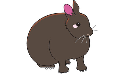 世界自然遺産の島のアマミノクロウサギ　ポップ調