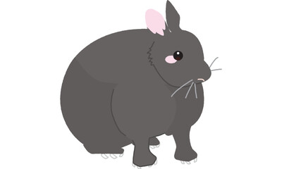 世界自然遺産の島のアマミノクロウサギ　ソフト調