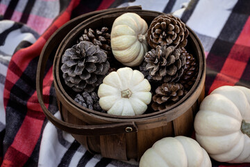 White pumpkins collected with pinecones in brown wooden basket