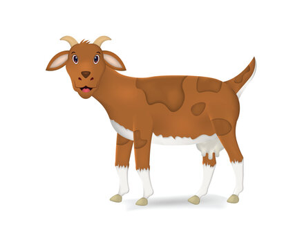 Goat realistic vector illustration isolated on white background