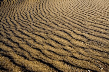 The Yadan landform in Lop Nur,Xinjiang