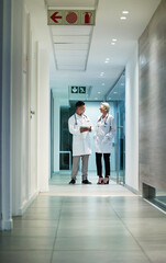 Doctor, hospital corridor and healthcare workers in a medic conversation at clinic. Work communication, doctors and wellness employees talking on surgery break with collaboration and teamwork