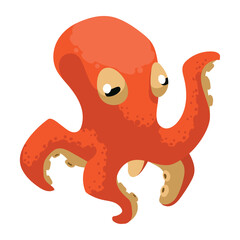 orange octopus sealife animal
