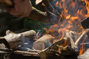 firewood in the fireplace