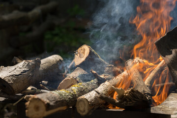 wood burning in a fire