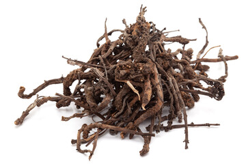 Obraz premium Closeup of Dry Nirgundi (Vitex negundo) roots, isolated on white background.