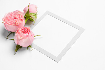 Blank frame and beautiful rose flowers isolated on white background