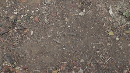 concepto textura de vista superior sobre la tierra marron natural