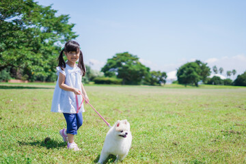 犬を散歩する小さな女の子