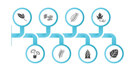 editable filled icons with infographic template. infographic for nature concept. included lanceolate, escuamiforme, pine needle, grape leaf, carnivorous plant, pine leaf, yucca, birch leaf icons.