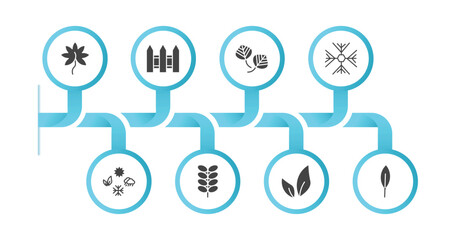 editable filled icons with infographic template. infographic for nature concept. included liquidambar leaf, fences, poplar leaf, big snowflake, season, briar leaf, tree leave, magnolia icons.